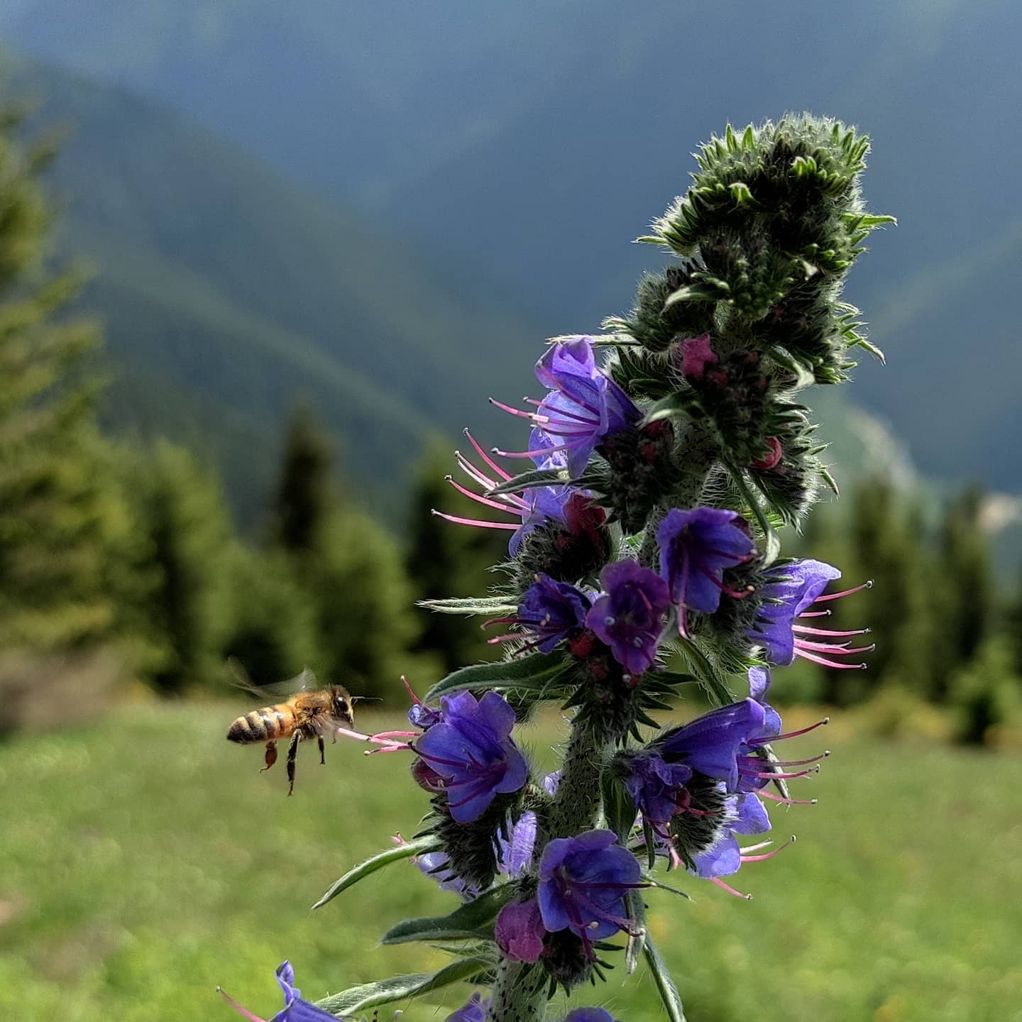 201079232 10222838146716975 420072573495259110 n