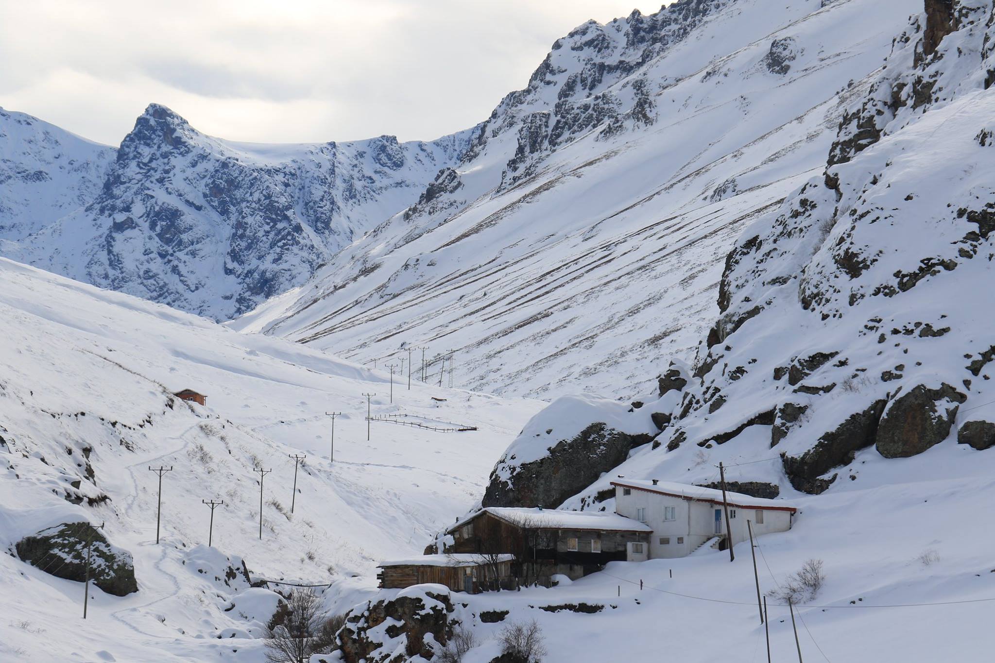 46427477 10215430181162466 7762298603128750080 n