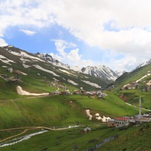 Anzer Balı Nedir? Özellikleri, Üretim Süreci ve Gerçek Anzer Balı Rehberi